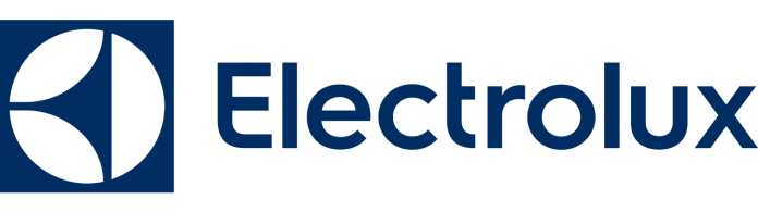 electrolux-696x557-1-e1701718389495.png